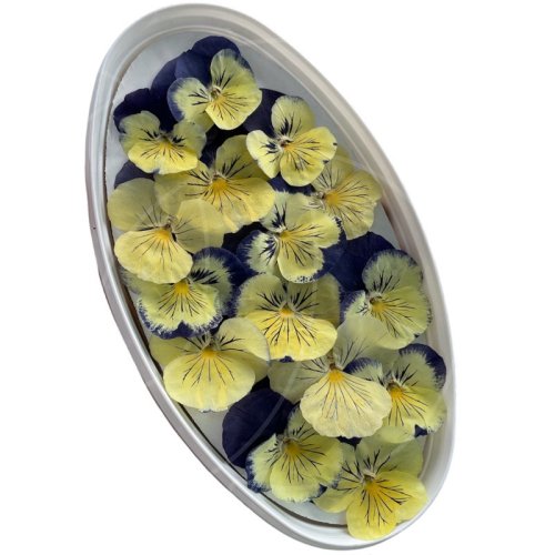 Виола обезвоженная "Глаза кошки" Объёмная 15 шт 