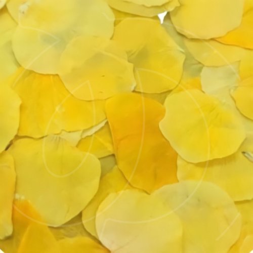 Лепестки виолы обезвоженной "Солнечный рай" 100 шт 